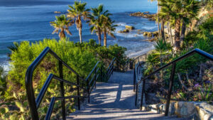 Laguna