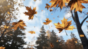 Autumn